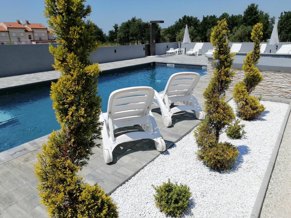 Apartment Camelia